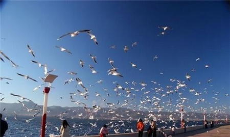 空氣儲罐廠家淺析端午時節(jié)“秋高氣爽”旅游理想選擇 空氣儲罐廠家淺析端午時節(jié)“秋高氣爽”旅游理想選擇